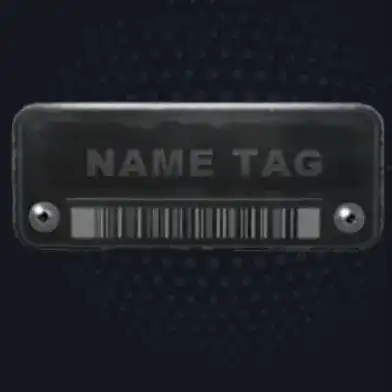 CS2 Name Tag : Guide complet pour renommer les armes